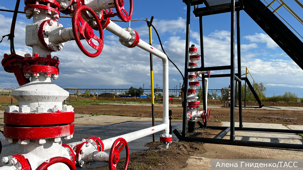     Фото: Алена Гниденко/ТАСС   
 Текст: Дарья Григоренко