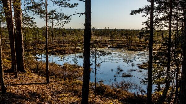    © Getty Images / Universal Images Group / Andia