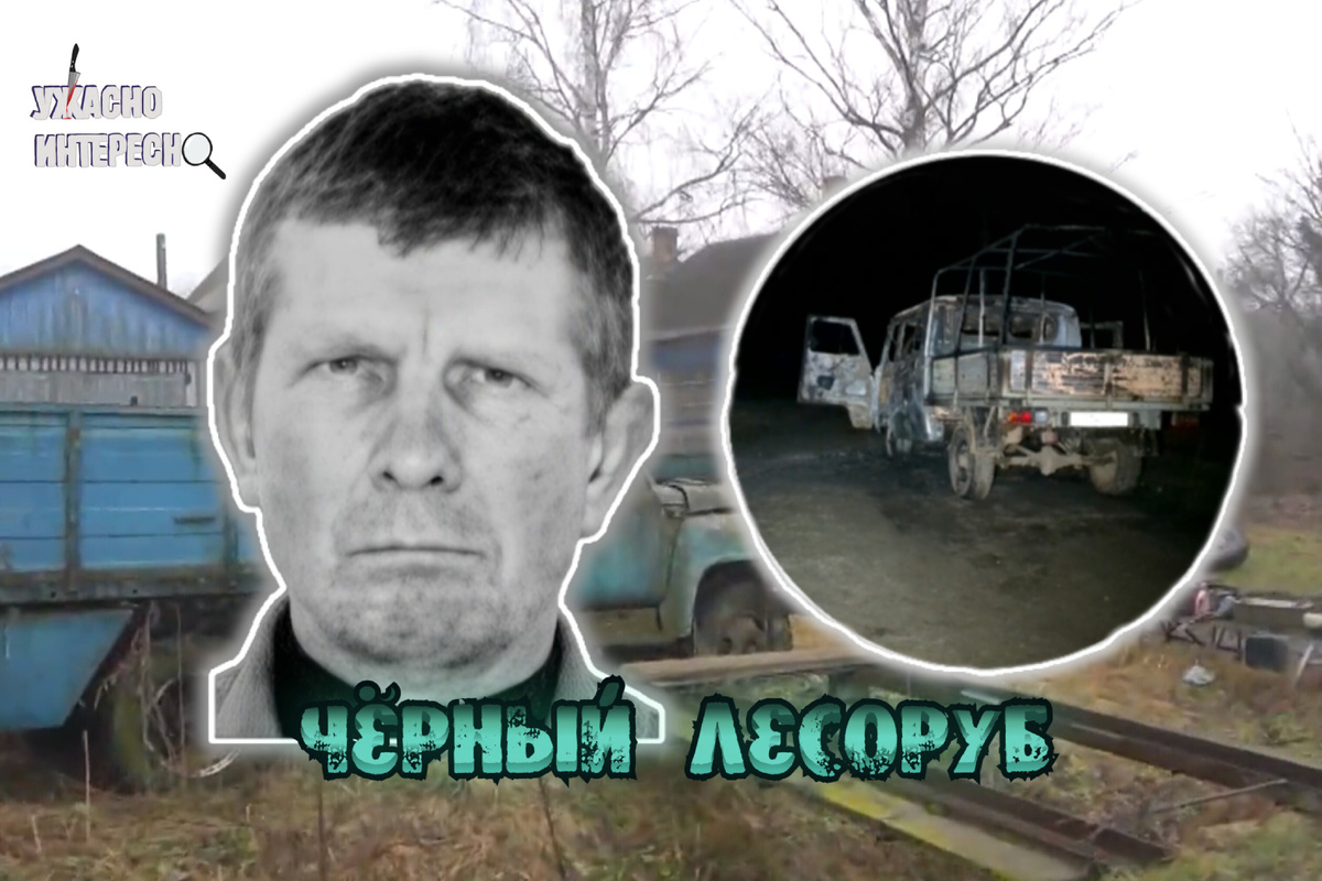 Иллюстрация автора