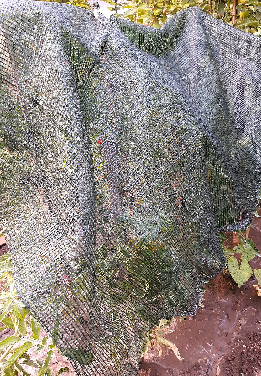 Сквозь сетку просвечивается Ирландский ликёр 😊 и совсем чуть Дюймовочка