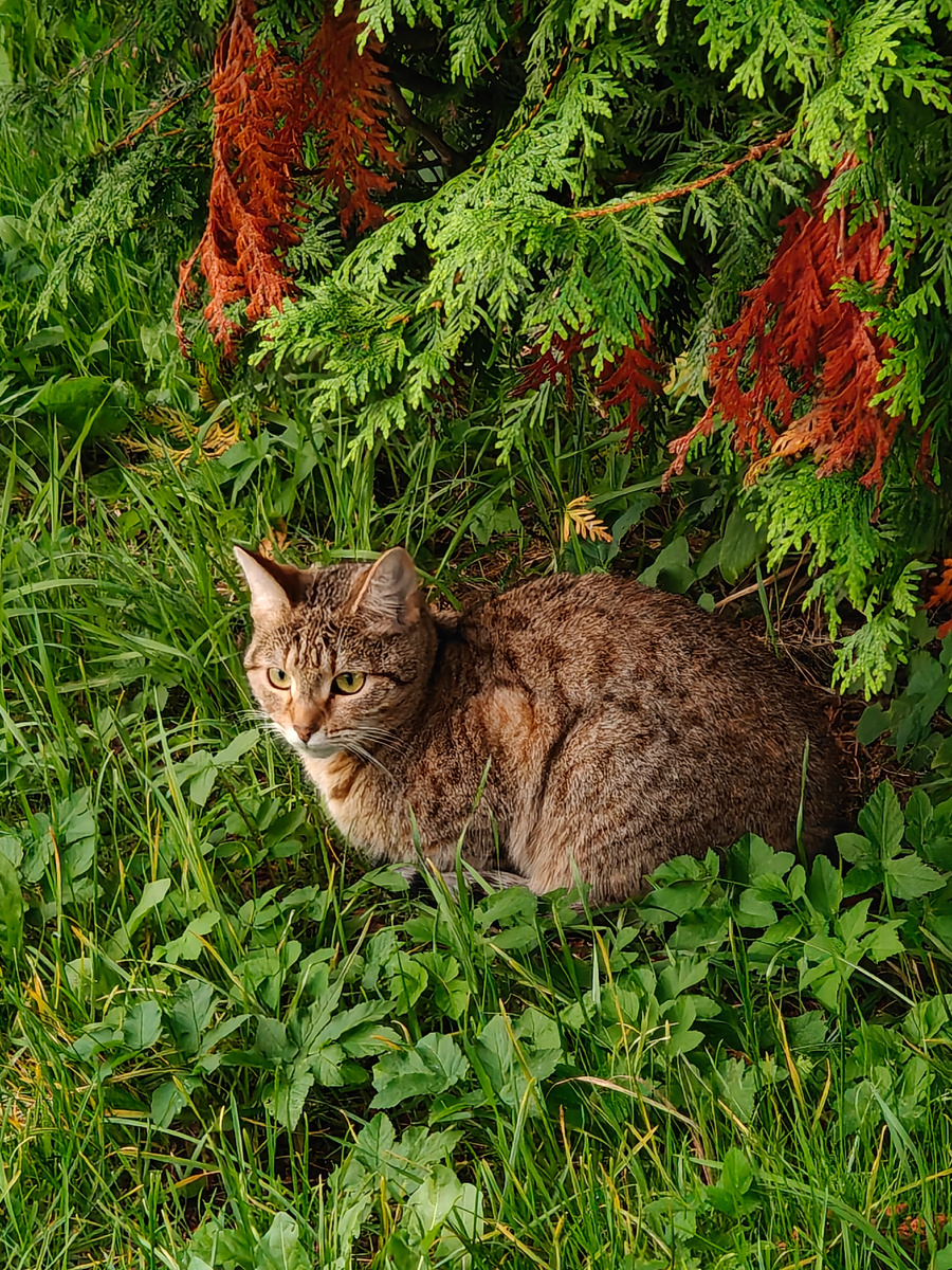 Наша прекрасная Людмила