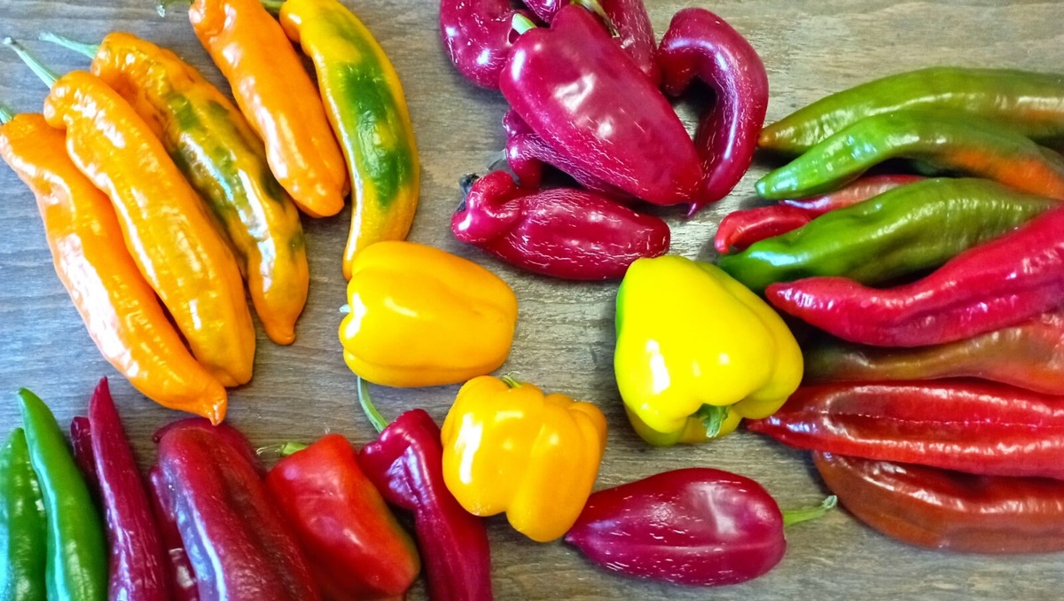 Наши сладкие перцы
