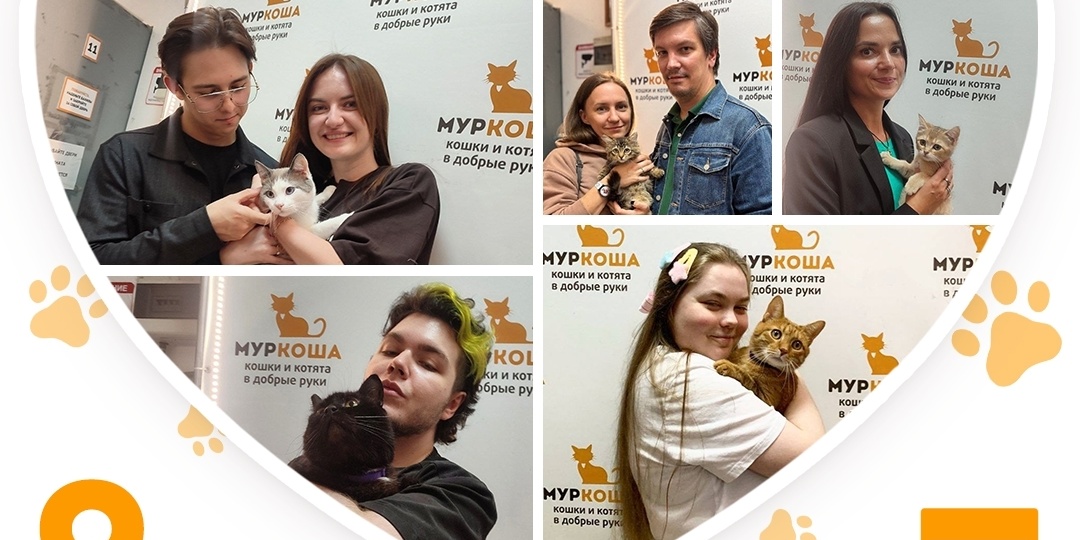 Помогли найти любящую семью