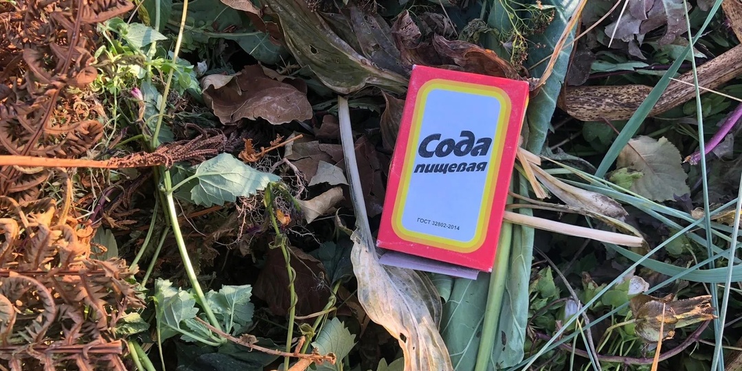 Сыплю соду в компост и больше ни о чем не переживаю. Лучший способ с советских времен, как повысить урожайность всего