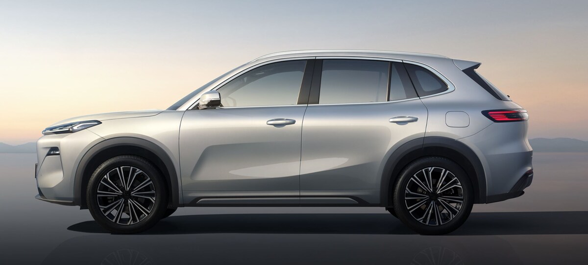 Фото: Belgee  📷
