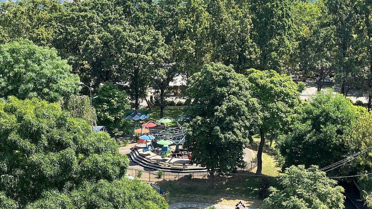    Фото: телеканал «Краснодар»