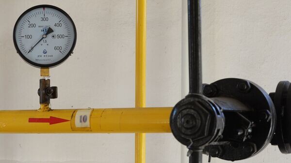    © РИА Новости . Михаил Воскресенский