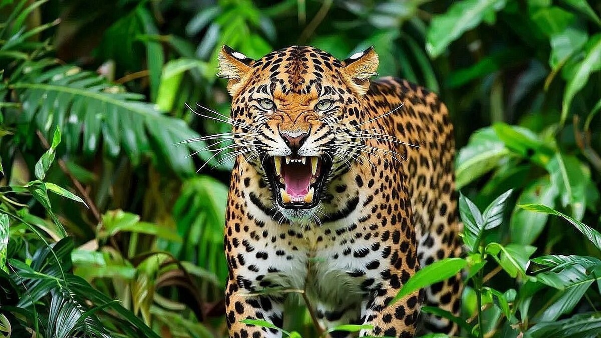    Изображение создано при помощи ИИ