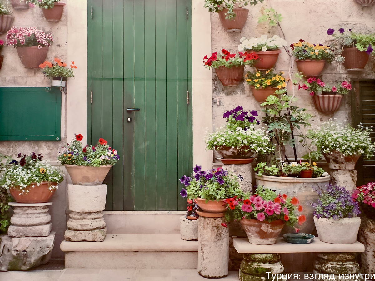 Повсюду цветы