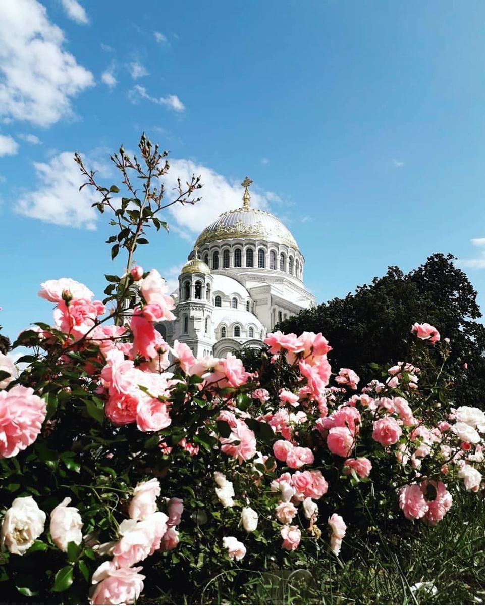 Источник: https://pin.it/7i4xj7a3O