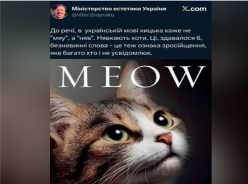 Фото-коллаж из соцсети