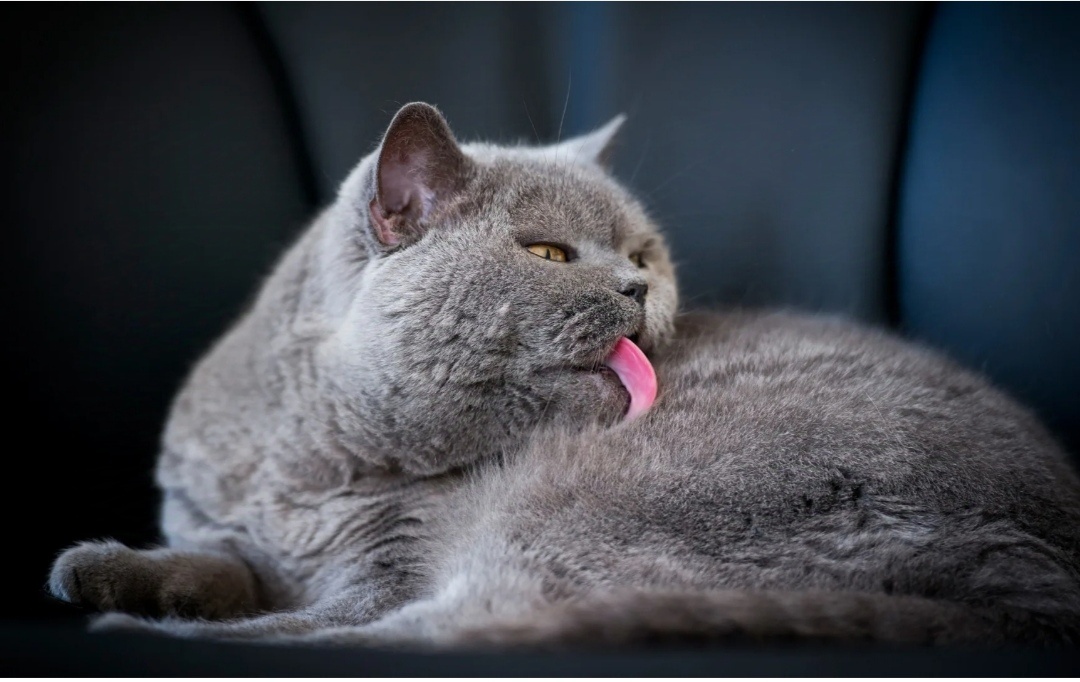 Фото из интернета