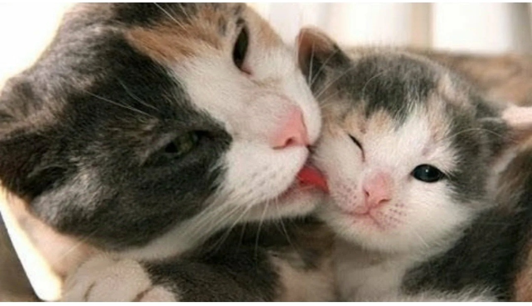 Фото из интернета