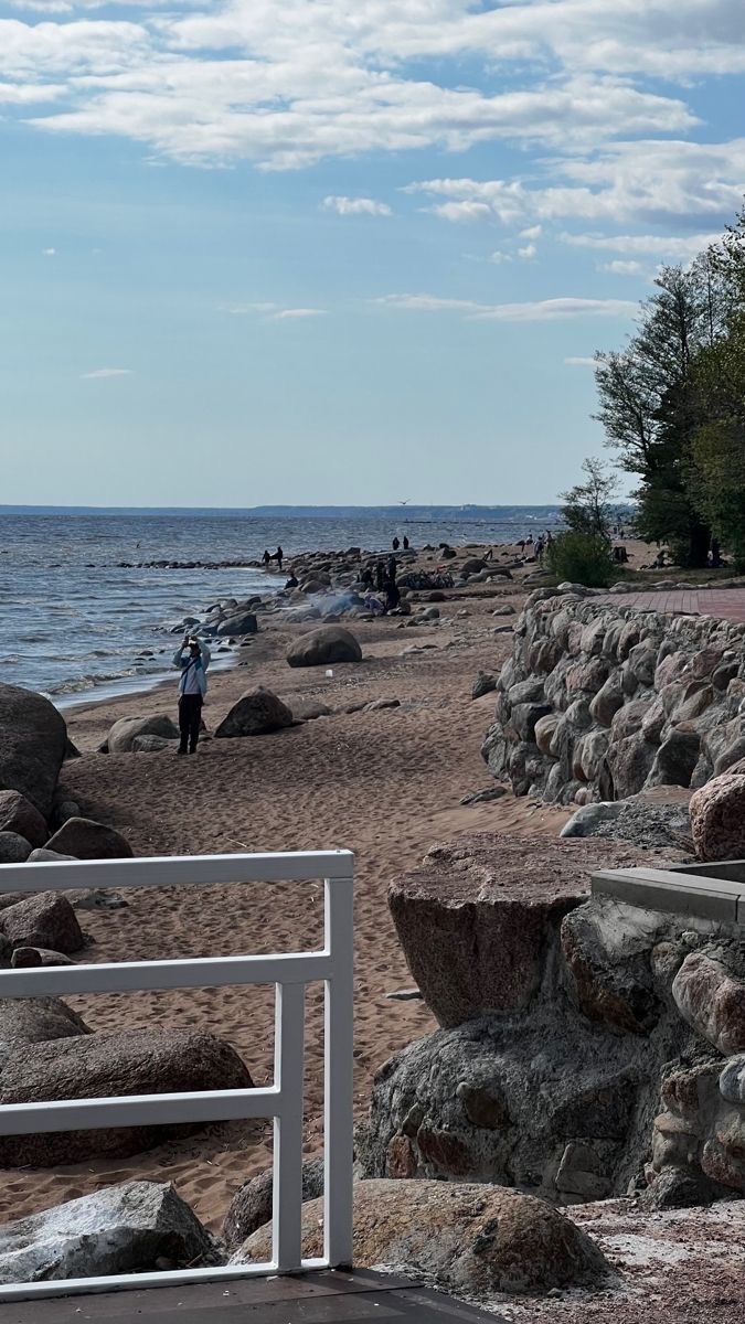 Источник: https://pin.it/4XGXc3FlP