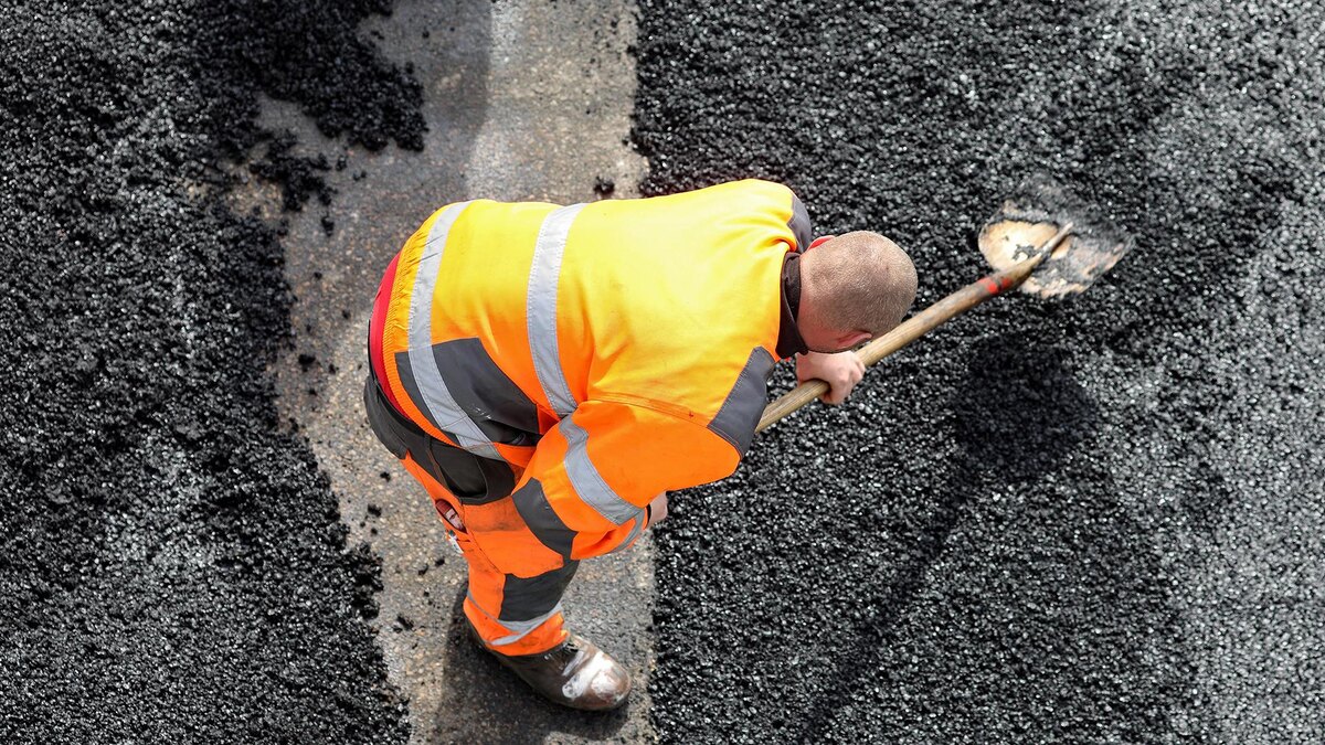    Фото:Jan Woitas/globallookpress.com