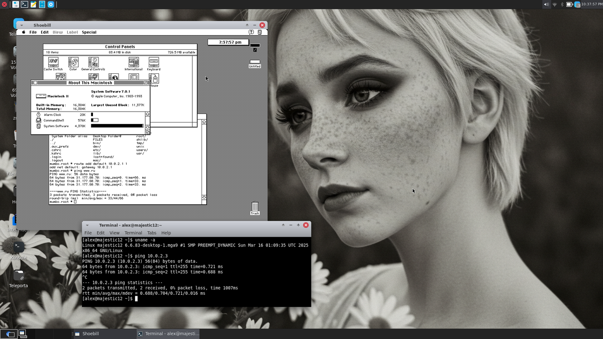 В работе, с выходом в интернет.