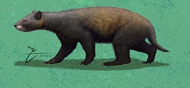 Нотостилопс