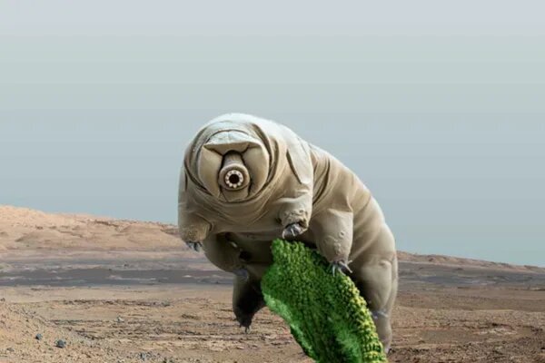    Science Photo Library/NASA/JPL