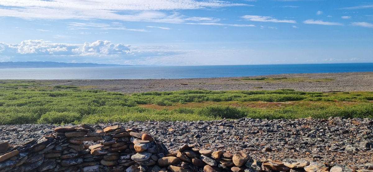 Берег Малой Волоковой губы