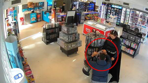    В Швеции показали, как орудуют местные воры