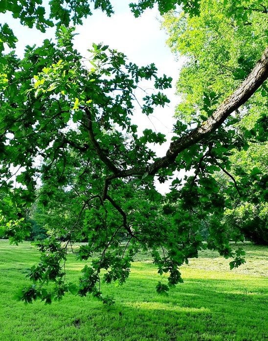 В парке Александрии /фото из личного архива, 2018/