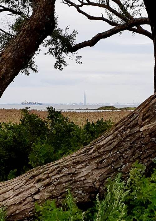 Морские пейзажи Александрии /фото из личного архива, 2019/
