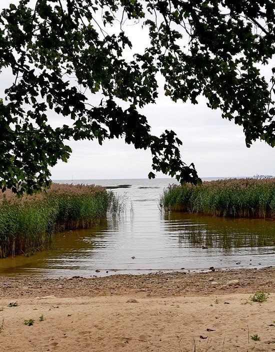 Морские пейзажи Александрии /фото из личного архива, 2019/