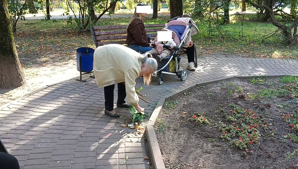 Сиреневый бульвар