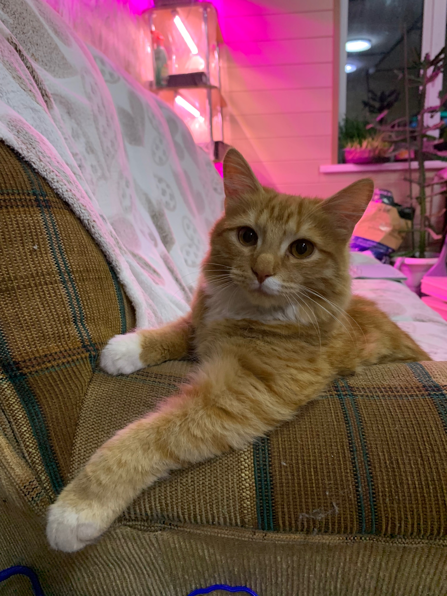 Ричарду 5 месяцев 