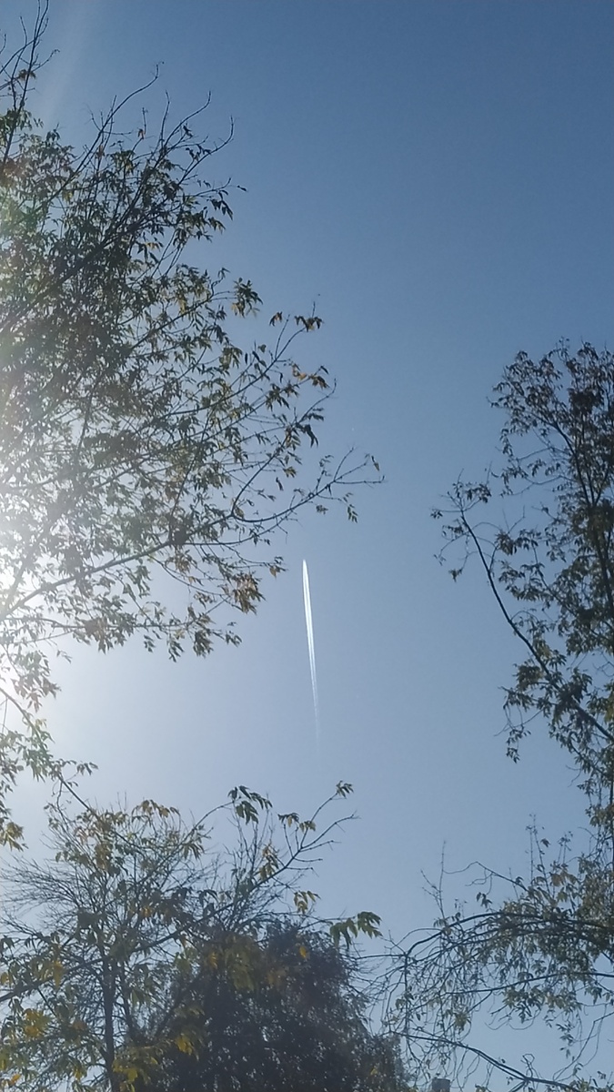 Самолёт устремился прямо вверх