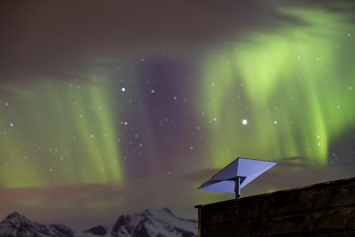 Фото: Starlink  📷
