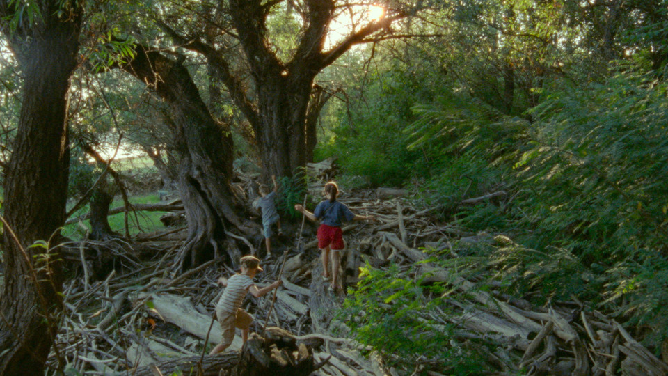     «Короткое лето», режиссер Настя Коркия, 2025 «Короткое лето», режиссер Настя Коркия, 2025