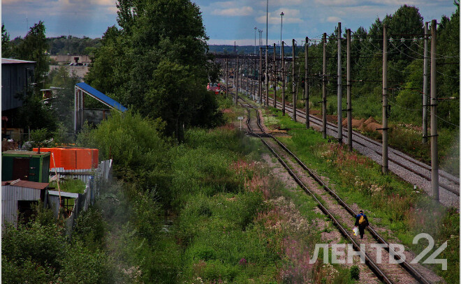    © Анастасия Илюшина / ЛенТВ24, архивное фото