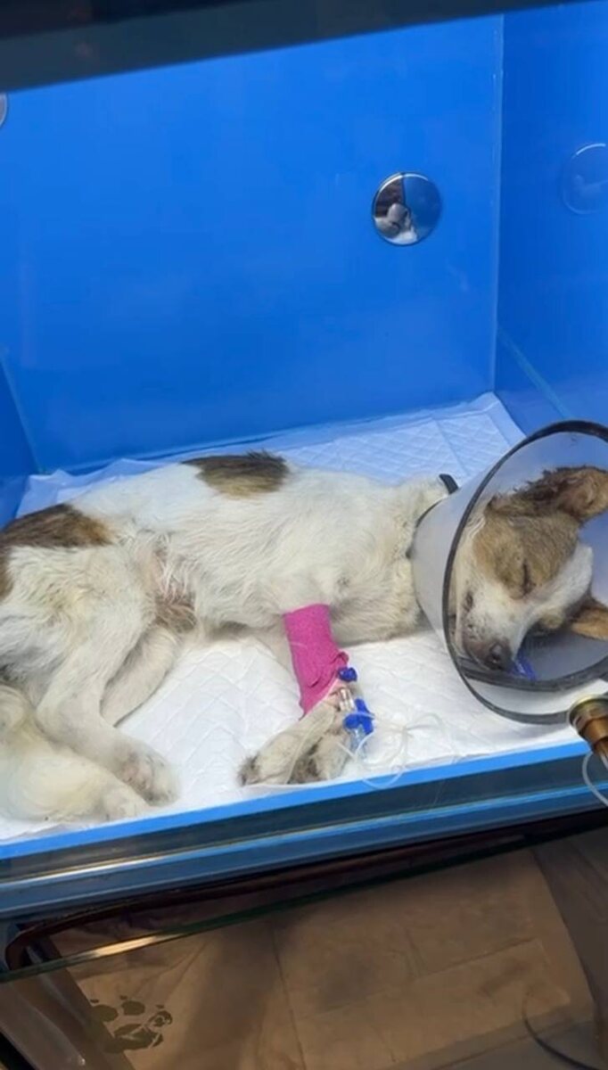 Она в лучших руках. Фото из архива автора