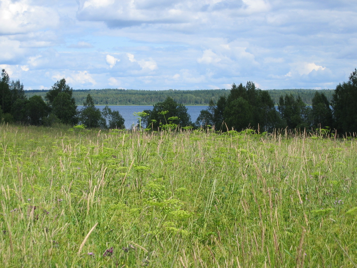 Фотография сделана в июле 2012-го года. 