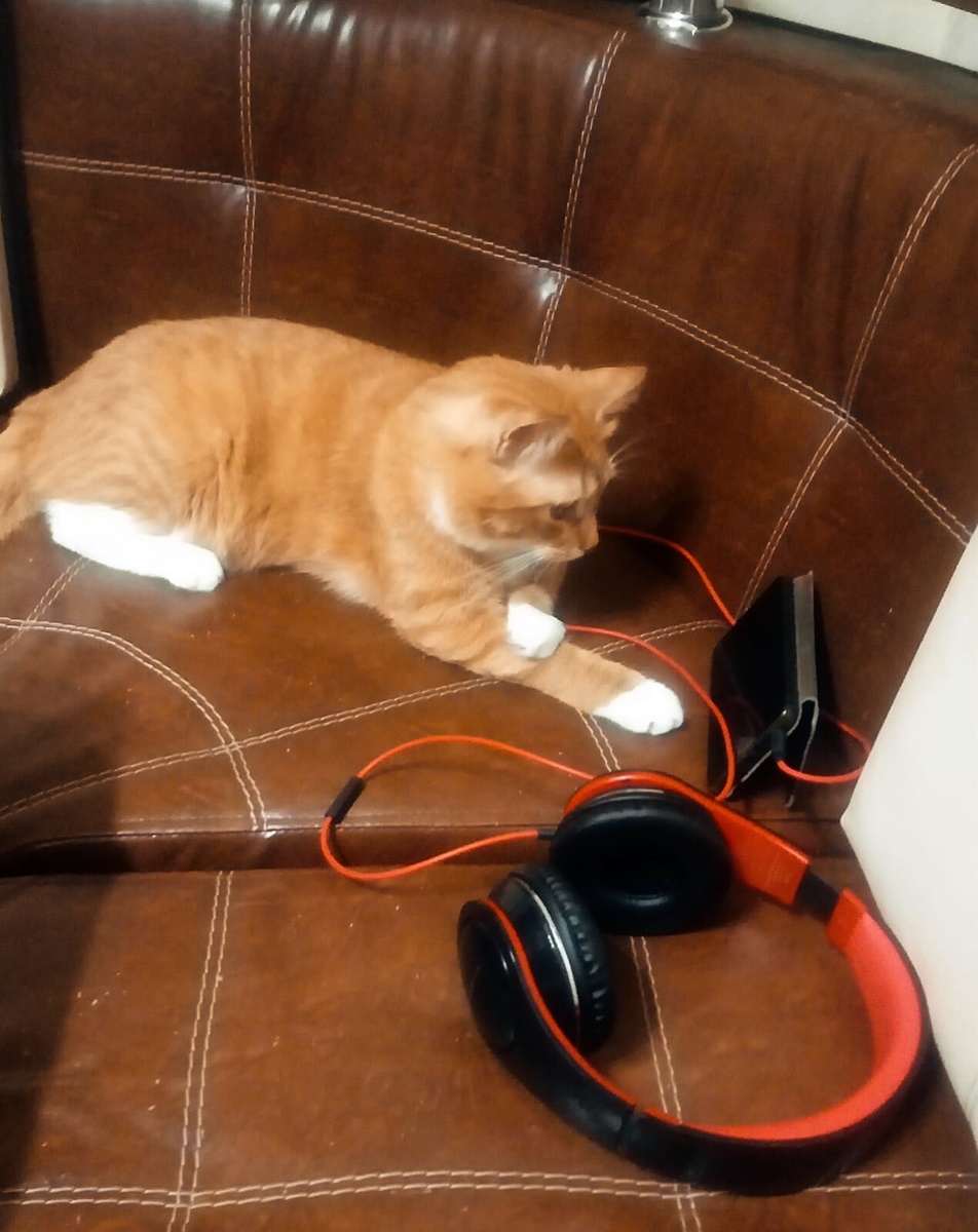 По телефону оставалось только киношечку смотреть)) 