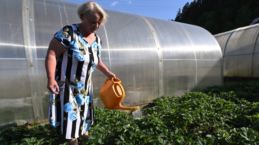    Фото: © РИА Новости/Илья Наймушин