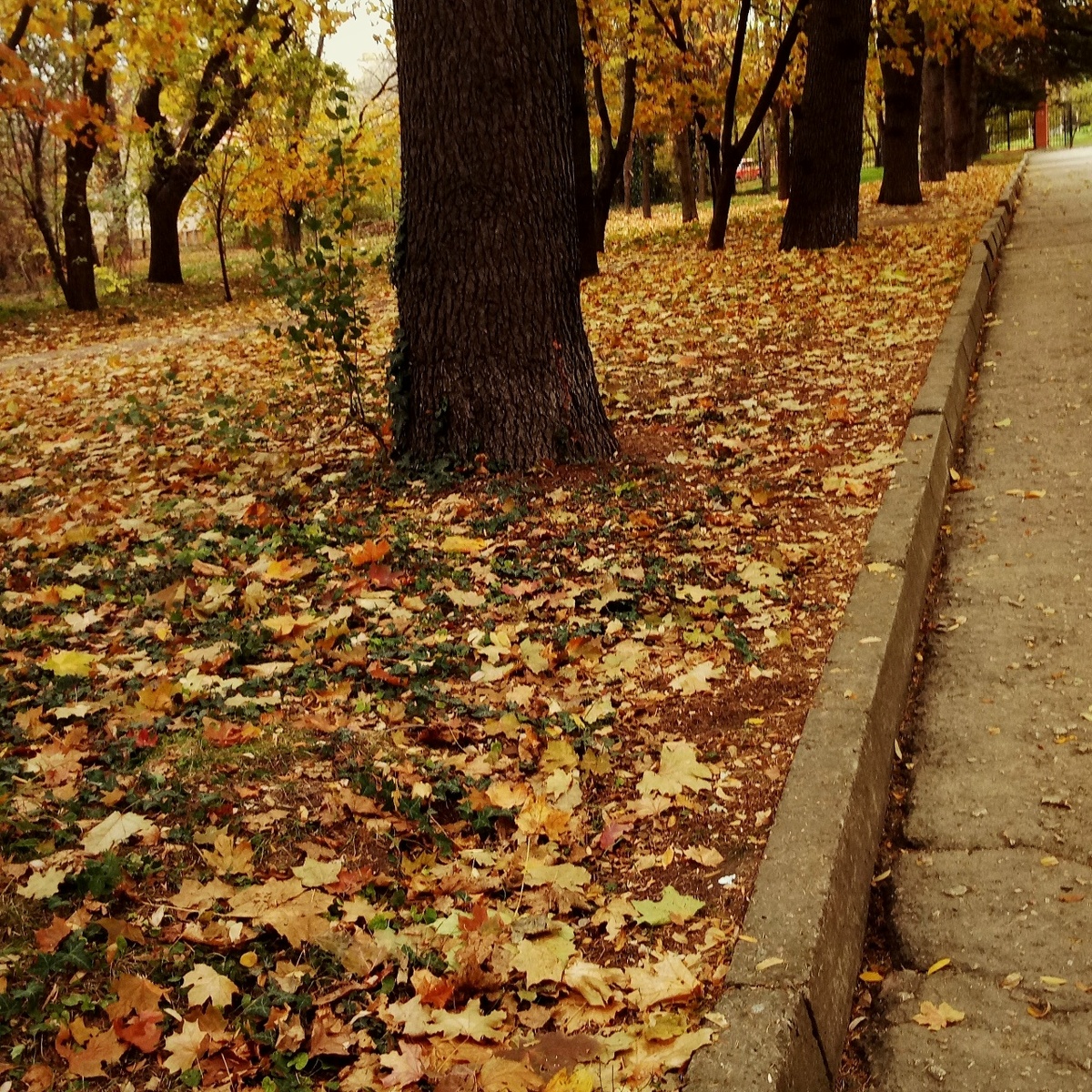 Симферополь, фото разных лет (Ориби Каммпирр) © Copyright: Ориби Каммпирр
