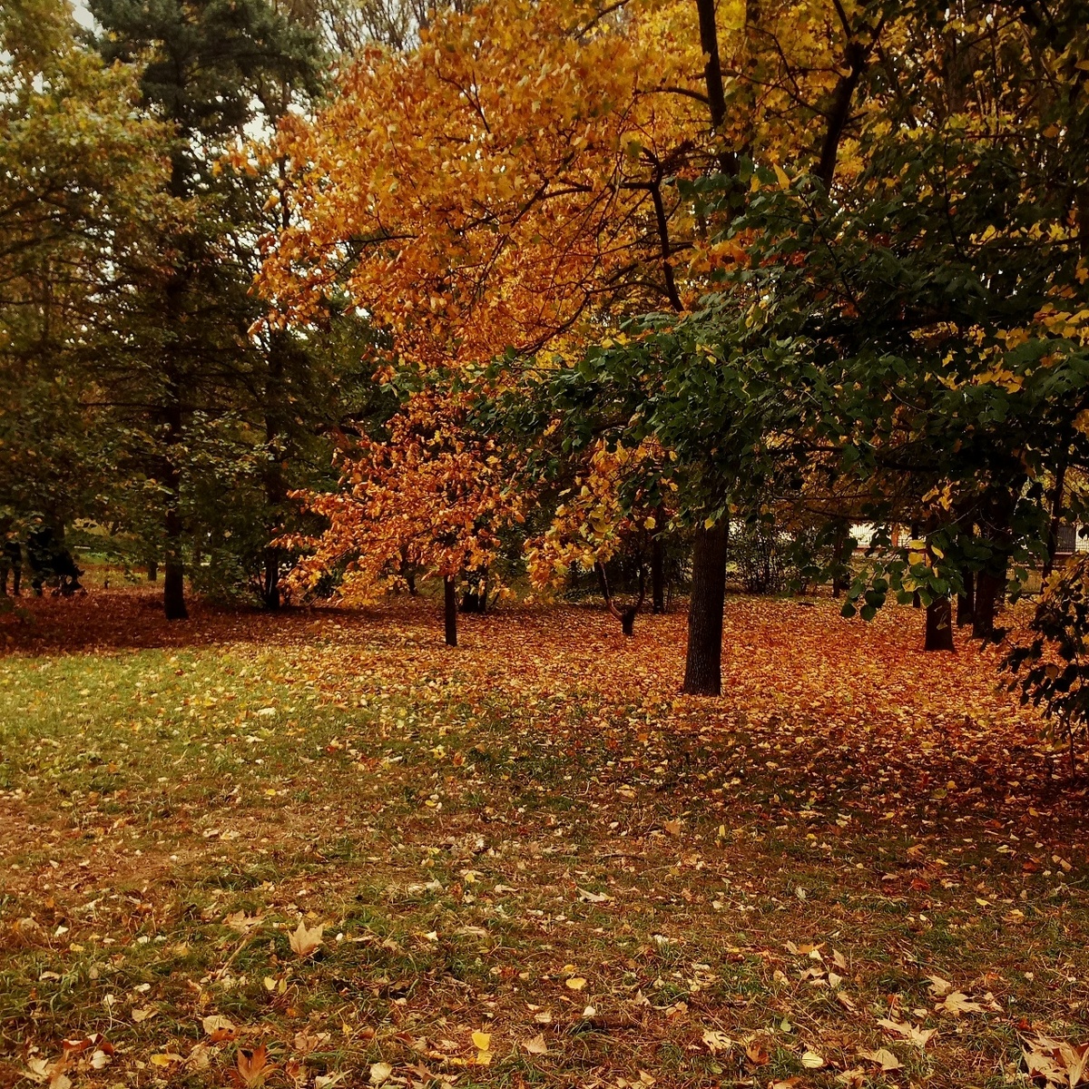 Симферополь, фото разных лет (Ориби Каммпирр) © Copyright: Ориби Каммпирр
