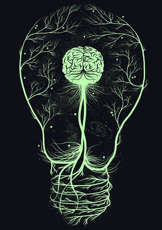 «Не подавляй эмоции — уважай и изучай их, они расскажут тебе о самом себе.» — Брене Браун