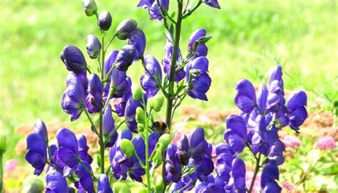 Фото взято из открытых источников