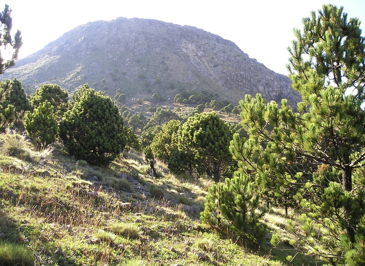 Взято с Яндекс.Картинки