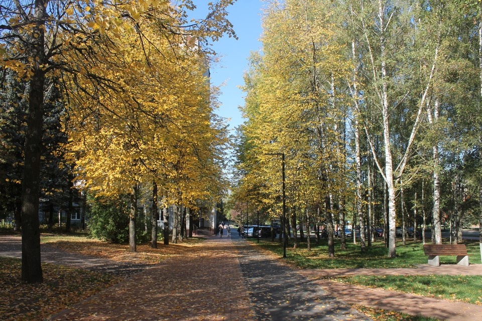    . Виктория СУХОВА