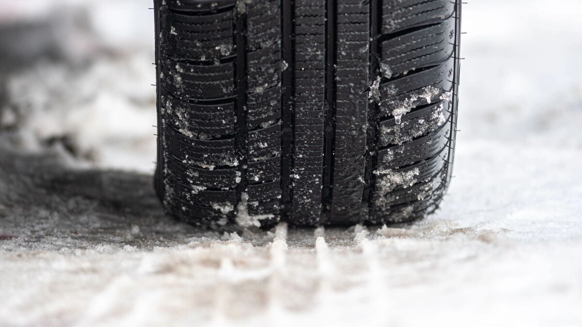    Фото: Michele Ursi/Shutterstock/Fotodom