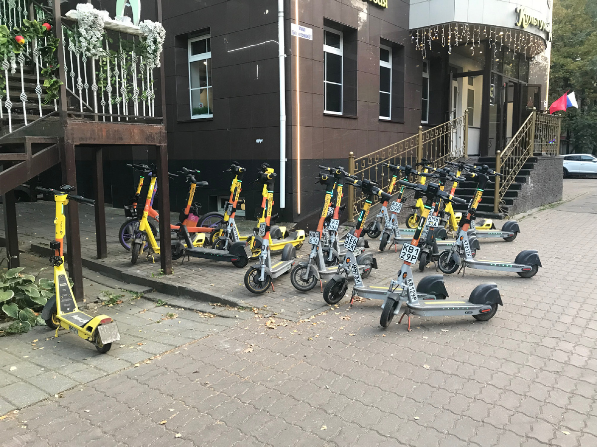 Что-то маловато сегодня пригнали. Фото автора