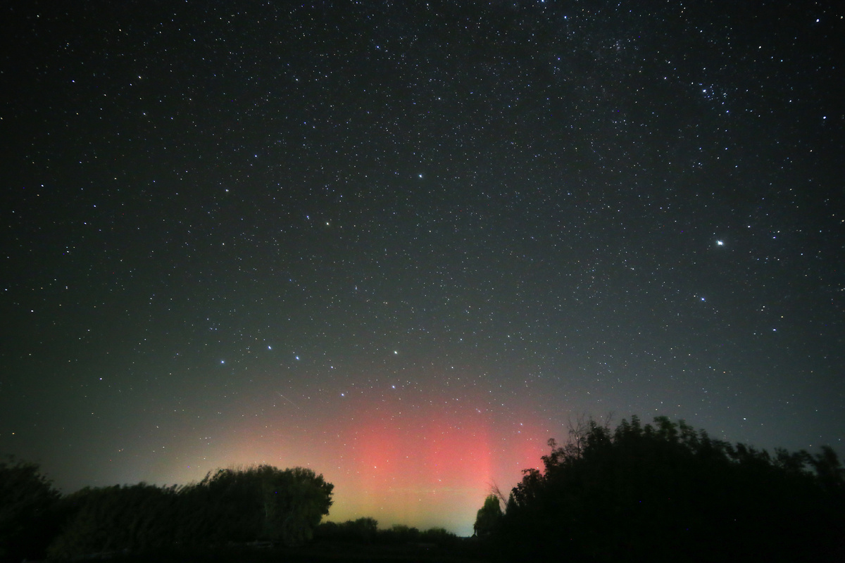 Автор Дмитрий. Г.