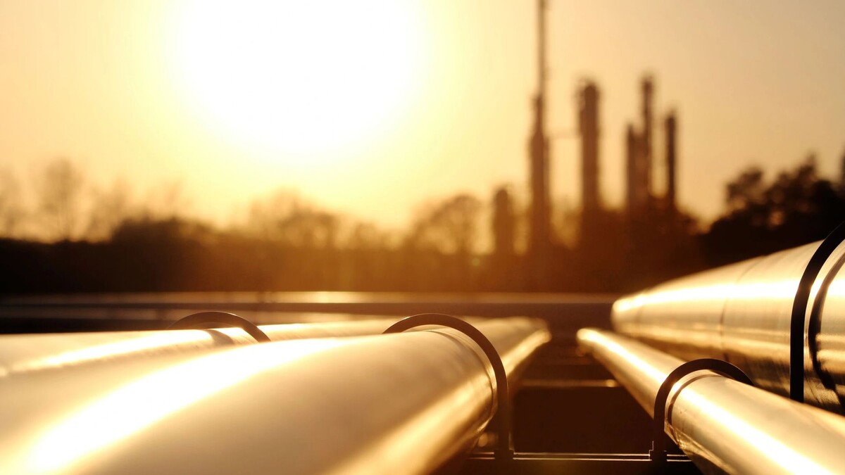    Фото: Kodda/Shutterstock/Fotodom