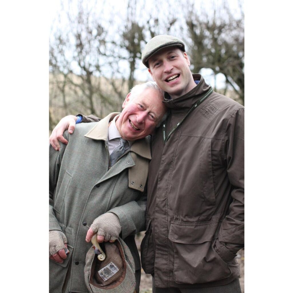 фото из яндекса