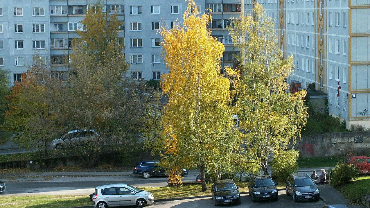    Фото: Виктор Лисицын/Global Look Press/globallookpress.com