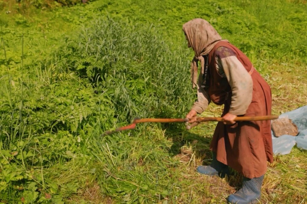    На заимке Агафьи Лыковой. Фото: РТУ МИРЭА